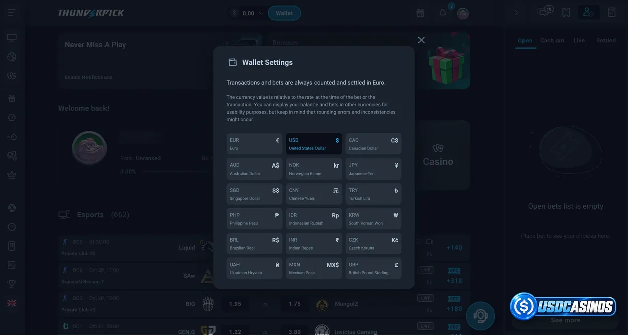 Thunderpick USDC deposit menu